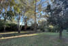 French property for sale in Mougins, Alpes-Maritimes - €1,345,000 - thumbnail 9