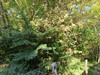 French property for sale in Saint-Martin-de-Laye, Gironde - €210,500 - thumbnail 9