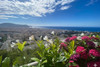 French property for sale in Nice, Alpes-Maritimes - €648,000 - thumbnail 9