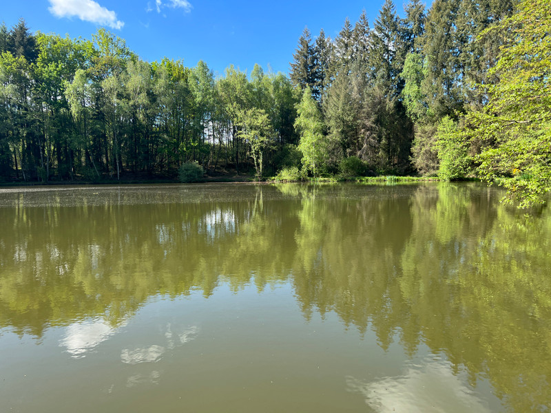 French property for sale in Saint-Priest-les-Fougères, Dordogne - €149,000 - photo 13