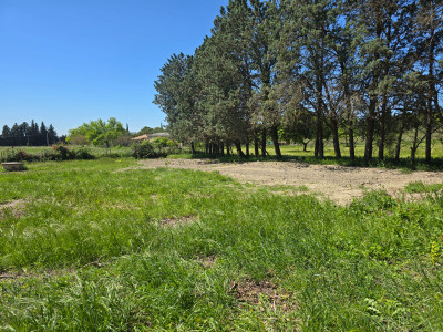Terrain à vendre à Velleron, Vaucluse, PACA, avec Leggett Immobilier