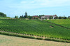 French property for sale in Saint-Macaire, Gironde - €798,000 - thumbnail 9