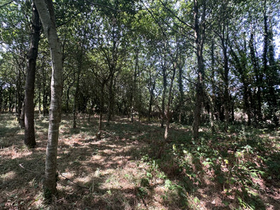 French property for sale in Val d'Oust, Morbihan - €478,400 - photo 9