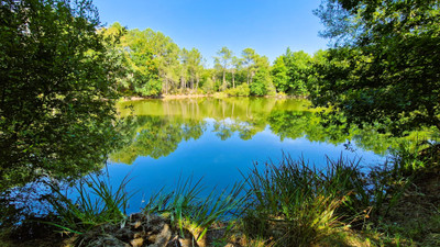 French property for sale in Beauronne, Dordogne - €299,000 - photo 1