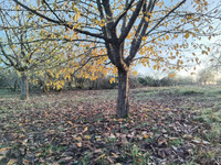 Propriété à vendre à Anglars-Juillac, Lot - 21 600 € - photo n°6