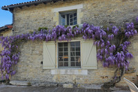 Maison à vendre à Messé, Deux-Sèvres - 307.400 € - photo 5