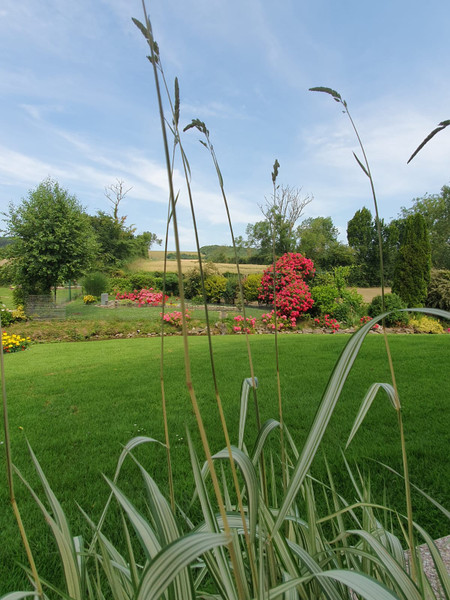 French property for sale in Bainghen, Pas-de-Calais - €479,900 - photo 1