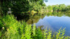 French property for sale in Saint-André-de-Double, Dordogne - €54,600 - thumbnail 11