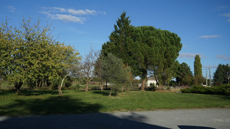 French property for sale in Sainte-Gemme, Gironde - €522,800 - photo 10