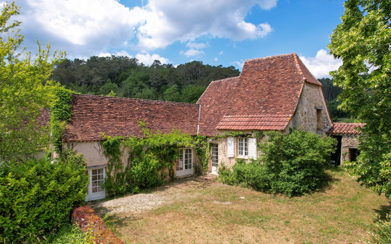 Maison à Le Bugue, Dordogne - photo 1