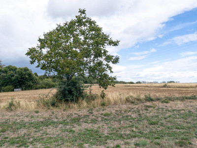 land for sale in Charente