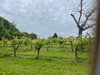 French property for sale in Montpezat, Lot-et-Garonne - €424,000 - thumbnail 9