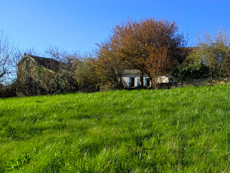 French property for sale in Terrasson-Lavilledieu, Dordogne - €163,100 - photo 4