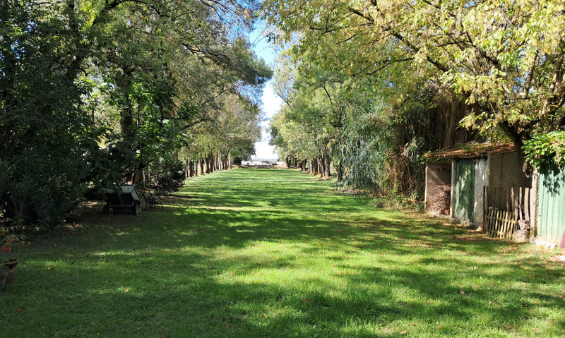 French property for sale in Plassac, Gironde - €422,940 - photo 5