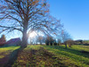 French property for sale in Boussac, Creuse - €359,000 - thumbnail 9