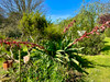 French property for sale in Plestin-les-Grèves, Côtes-d'Armor - €760,000 - thumbnail 9