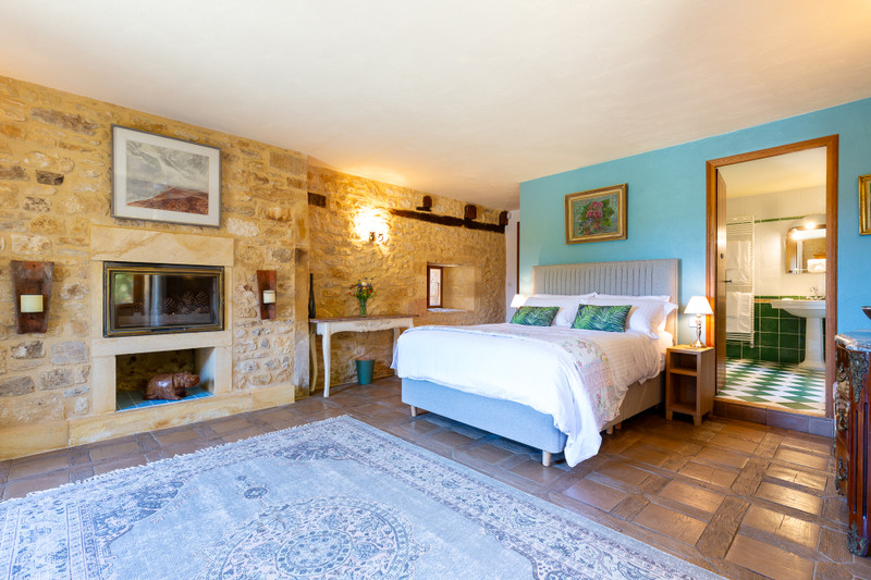French property for sale in Peyzac-le-Moustier, Dordogne - €940,000 - photo 9