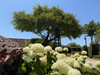 French property for sale in Brion, Vienne - €499,999 - thumbnail 9