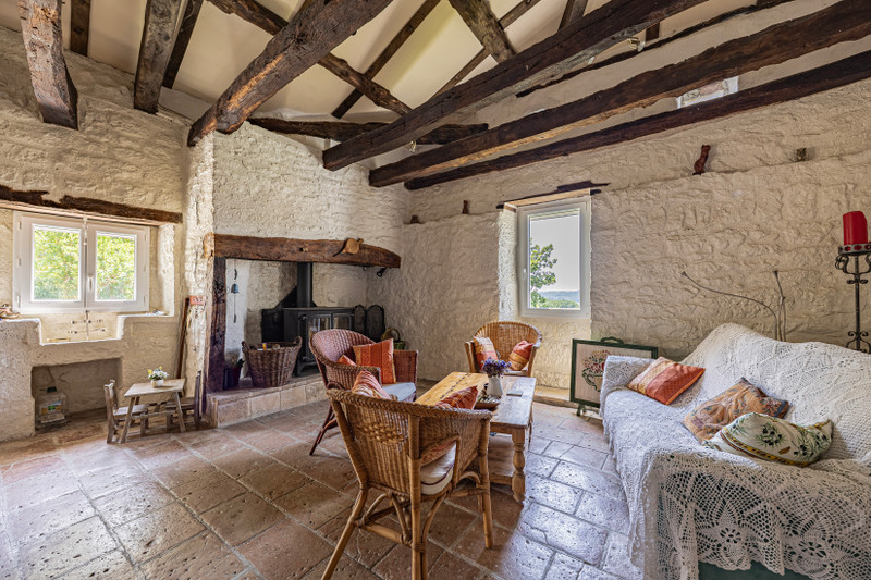 French property for sale in Montcuq-en-Quercy-Blanc, Lot - €440,000 - photo 5