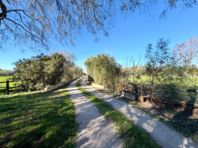 French property for sale in Saint-Estève, Pyrénées-Orientales - €585,000 - photo 6