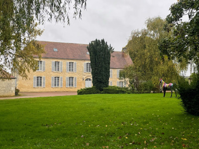 For sale near Argentan, manor house and breeding and competition famous stud farm