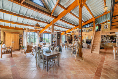 3 INDIVIDUAL HOUSES + 3 GÎTES + BARNS + 80-ACRE ESTATE WITH LAKE & VINES + MOUNTAIN VIEWS...