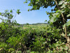 French property for sale in Sap-en-Auge, Orne - €132,000 - thumbnail 14