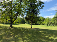 Propriété à vendre à Négrondes, Dordogne - 445 000 € - photo n°5