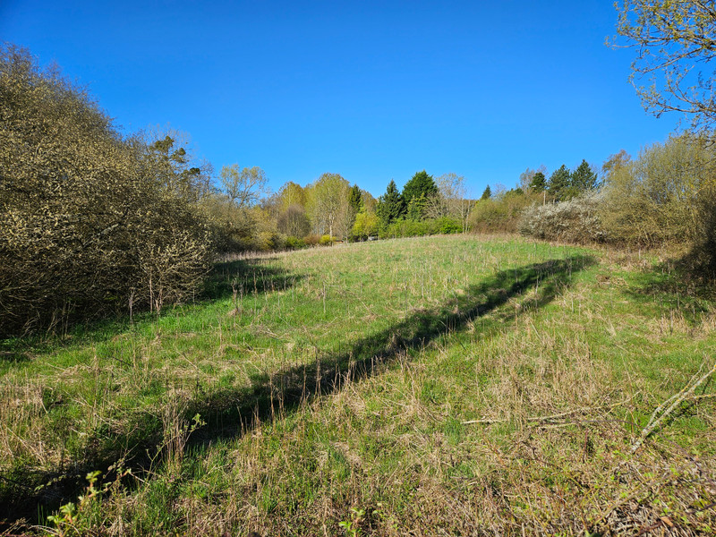 French property for sale in Touquettes, Orne - €30,000 - photo 4
