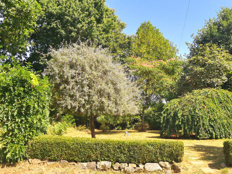 French property for sale in Saint-Berthevin-la-Tannière, Mayenne - €232,000 - photo 13