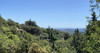 French property for sale in La Garde-Freinet, Var - €147,800 - thumbnail 9