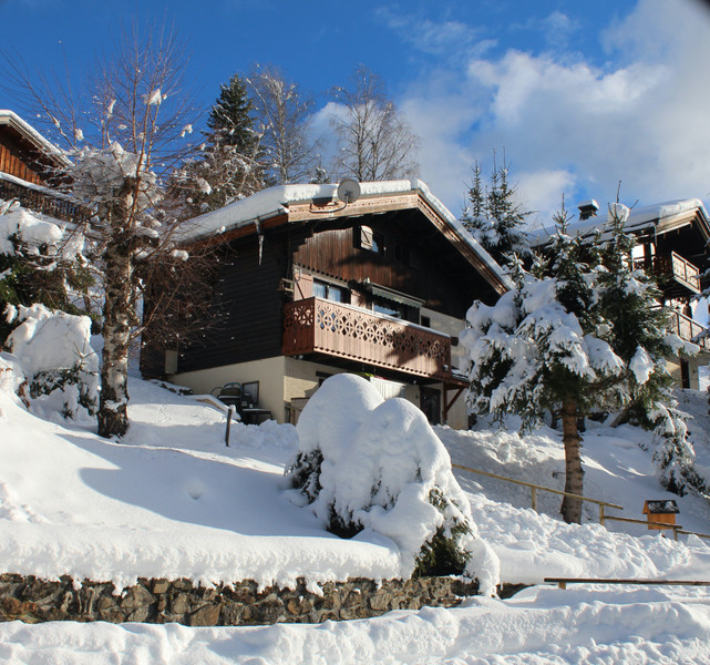 Ski property for sale in Crest Voland - €430,000 - photo 0