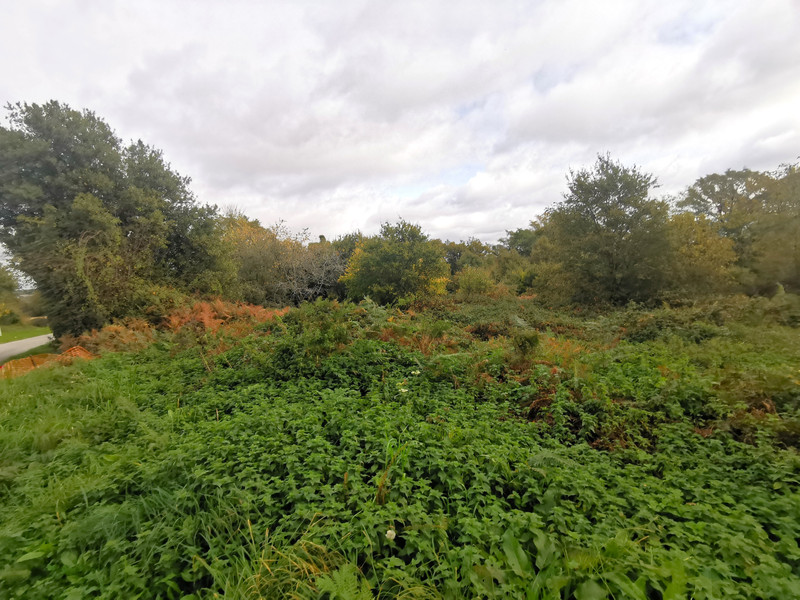 French property for sale in La Gacilly, Morbihan - €50,000 - photo 8