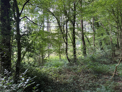 land for sale in Ille-et-Vilaine