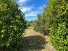 French property for sale in Saint-Saud-Lacoussière, Dordogne - €30,100 - thumbnail 14