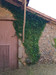 French property for sale in Exideuil-sur-Vienne, Charente - €21,600 - thumbnail 8