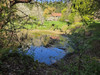 French property for sale in Loddes, Allier - €157,500 - thumbnail 9