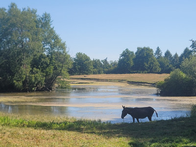 French property for sale in Saulgond, Charente - €130,800 - photo 4