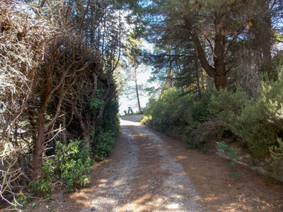 French property for sale in Limoux, Aude - €268,097 - photo 9