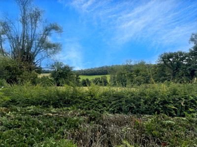 French property for sale in Rezay, Cher - €136,250 - photo 13