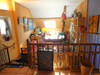 French property for sale in Saint-Privat, Corrèze - €208,000 - thumbnail 9