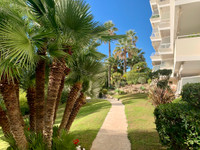 latest addition in Cannes Provence Cote d'Azur