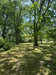French property for sale in Bazas, Gironde - €266,000 - thumbnail 9
