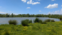 Terrain à vendre à Izon, Gironde - 270.300 € - photo 1