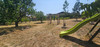 French property for sale in Maillezais, Vendée - €249,900 - thumbnail 14
