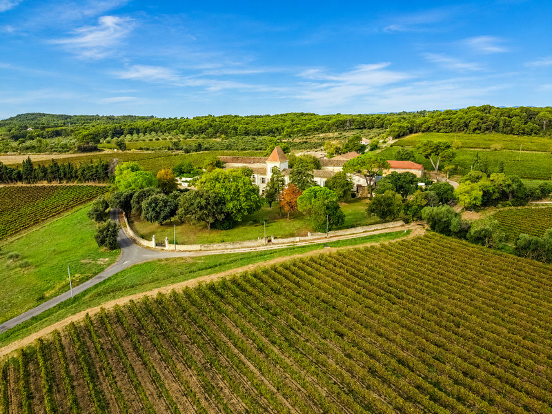 French property for sale in Puisserguier, Hérault - €950,000 - photo 9