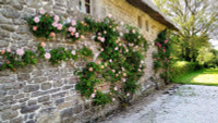 Propriété à vendre à Melrand, Morbihan - 339 200 € - photo n°8