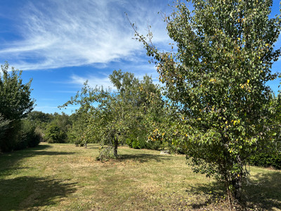 French property for sale in Saint-Saud-Lacoussière, Dordogne - €30,100 - photo 7