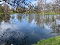 Lacs à vendre à Saint-Auvent, Haute-Vienne - 90 000 € - photo 8