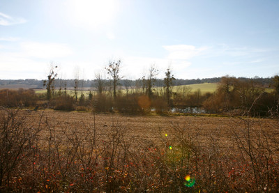 French property for sale in La Rochebeaucourt-et-Argentine, Dordogne - €15,350 - photo 7